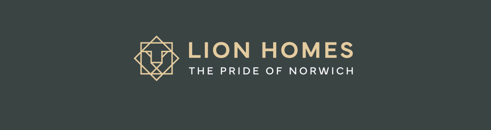 Lions Homes Header v2